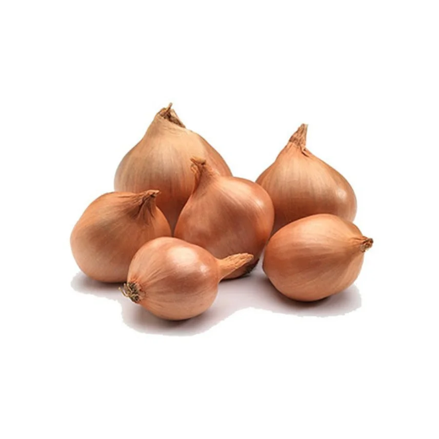 [HOT SALE 2022] Fresh Onion With High Quality Wholesale Cheap Price Ready To Ship From Viet Nam