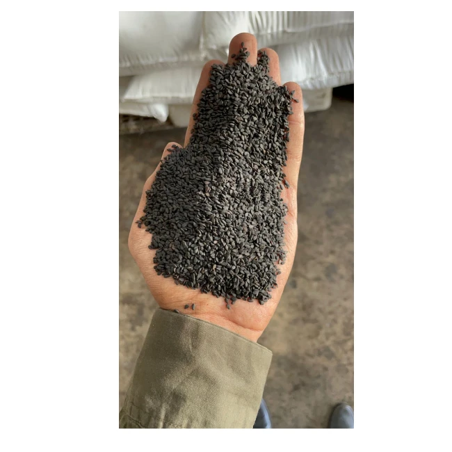 High Quality Bulk Black Sesame Seed Extract in Powder Form Fresh Style for Human Consumption