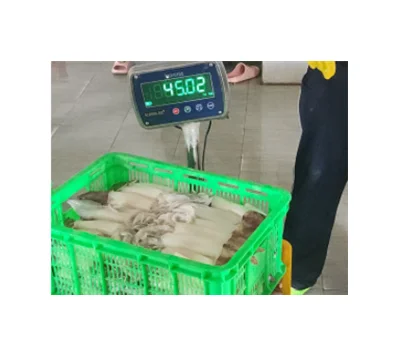 Dry Calamari Seafood Dried Korean Soul Food Made By Drying Small Squid in Korea Best As A Drink Side Dish Snack Delicious Chewy