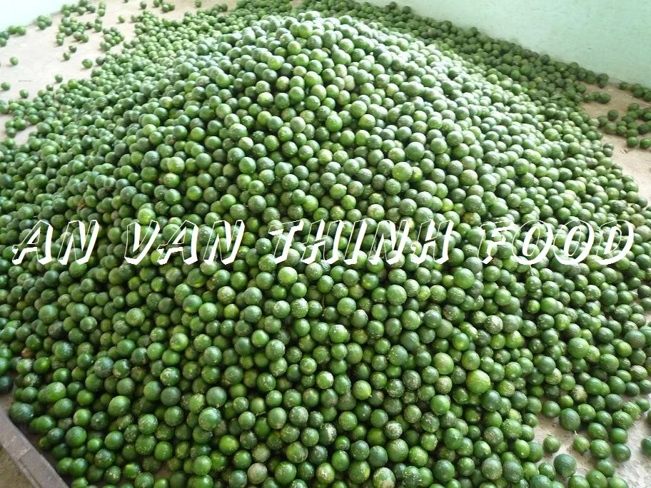 FROZEN LIME WHOLE NEW CROP HIGH QUALITY - CHEAP PRICE - GOOD FOR HEALTH ORIGIN VIETNAM TO EXPORT / LIMA CONGELADA ENTERA