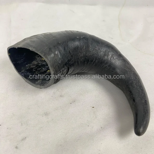 Large Buffalo Horn with Natural Finish Unique Animal Style Raw Buffalo Horn Crafts for Decor Bulk Factory Price Drinking Horn