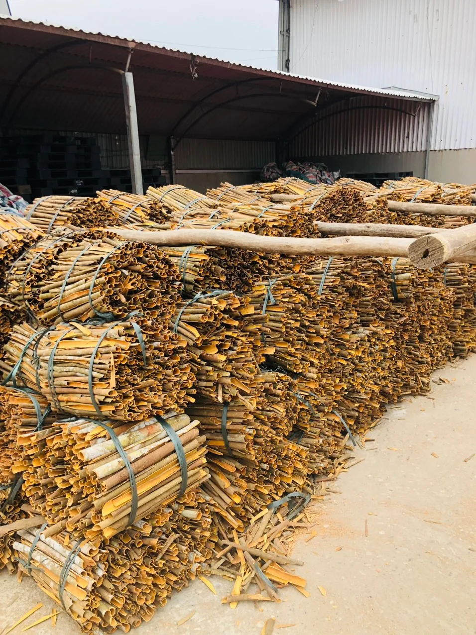 WHOLESALE CASSIA VIETNAM PREMIUM GRADE, DRIED WHOLE CASSIA, CINNAMON W/A: 0084909740687
