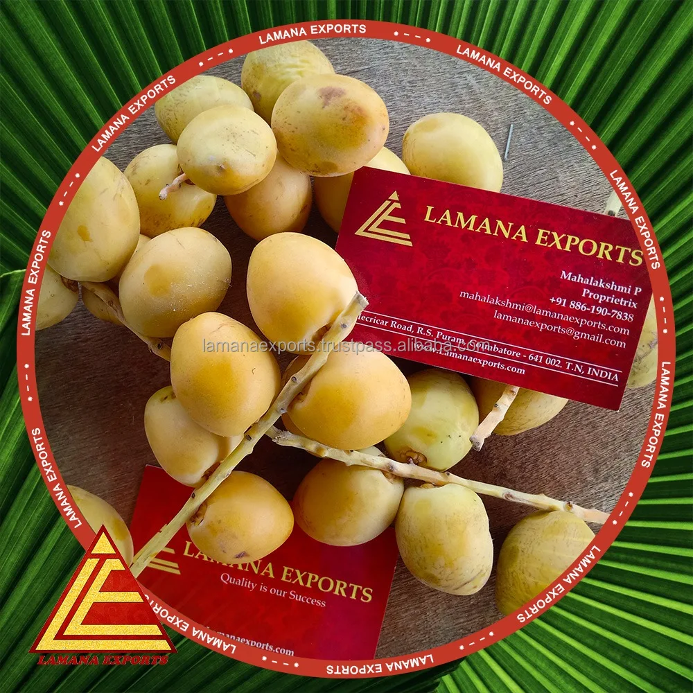 
Barhee Dates / Palm Dates / Date Fruit 100 % fresh and Natural with best prices and discount 