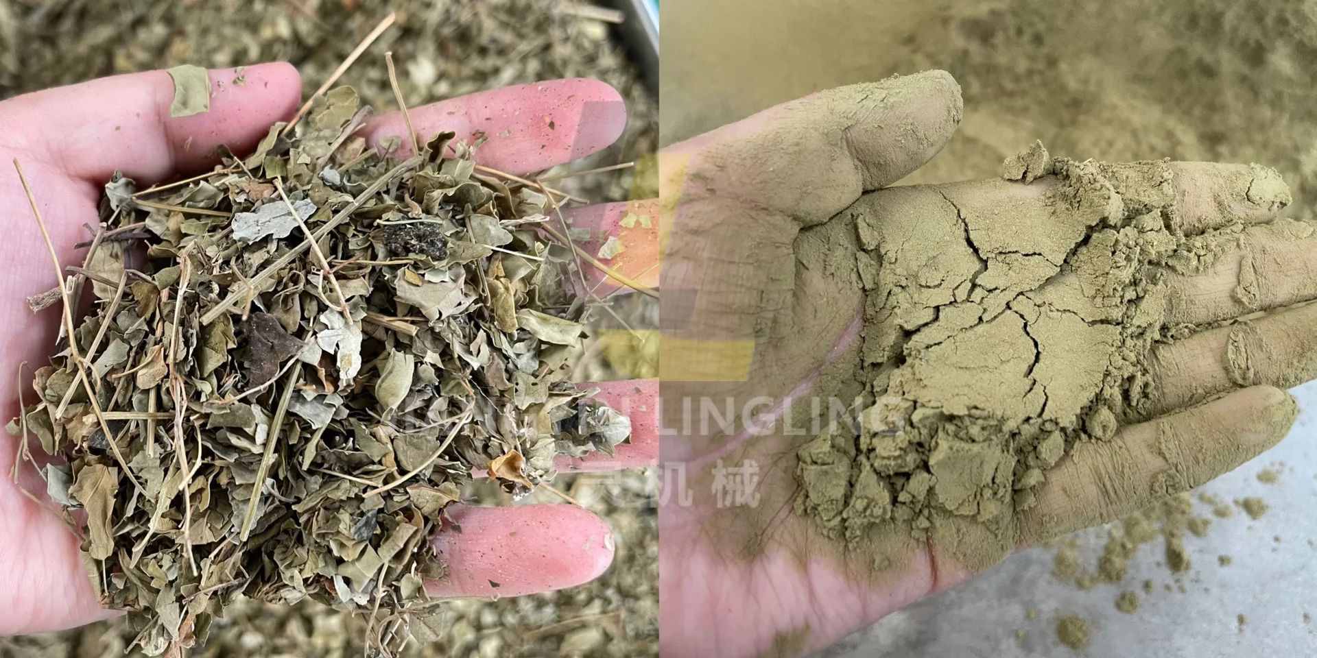 WFJ Aniseed Herb Powder Making Grinding Milling Grinder Mill Machine Crusher Machine