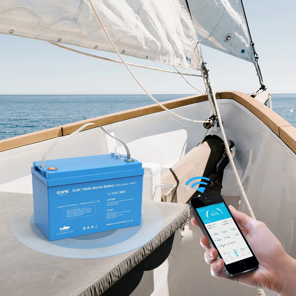 6000 cycle times 12v 100ah Lithium Iron Battery Pack Light Weight 12 V 100 Ah Lifepo4 Battery Long Cycle Life For Rv Camper