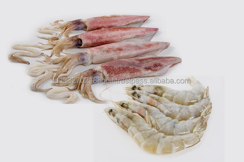 Custom packaging 100% Export Oriented High Quality  Wholesale Price Fresh Frozen Ilex Squid Export From Indonesia