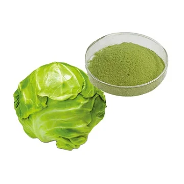 Dried Vegetable Cabbage Powder Reasonable Price Green Cabbage Extarct Organic Powder With 100% Purity