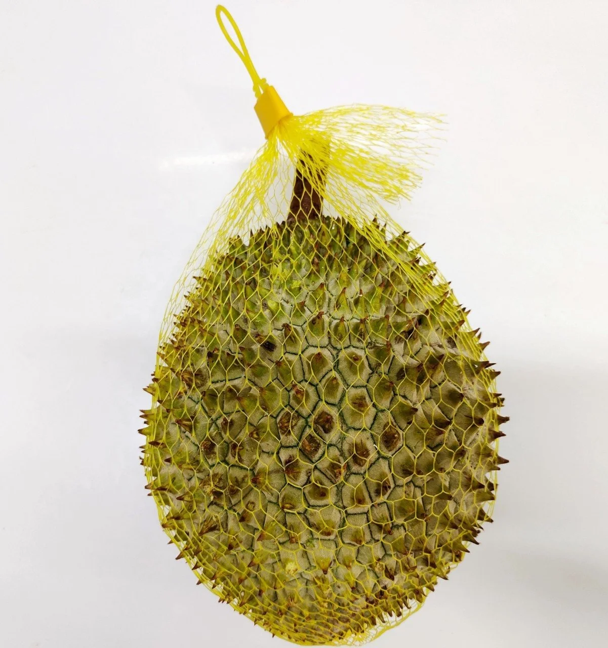 New Crop 2021 Durian Ri6 with Seed Delicious Natural Competitive Price Origin Vietnam Bulk Quantities Ready To Export