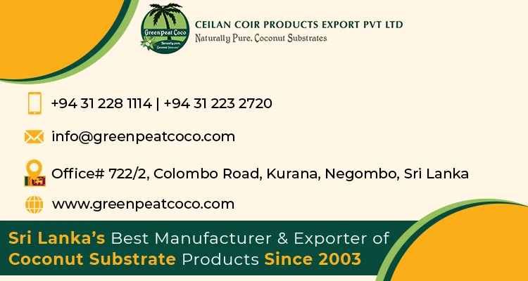 Sri Lanka Origin 100% Natural eco-friendly  Terrarium items for  Coconut shell Hiding Caves for Pet products wholesale