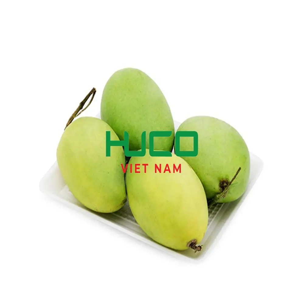 Best price Fresh Mango High Quality Exporter from Vietnam