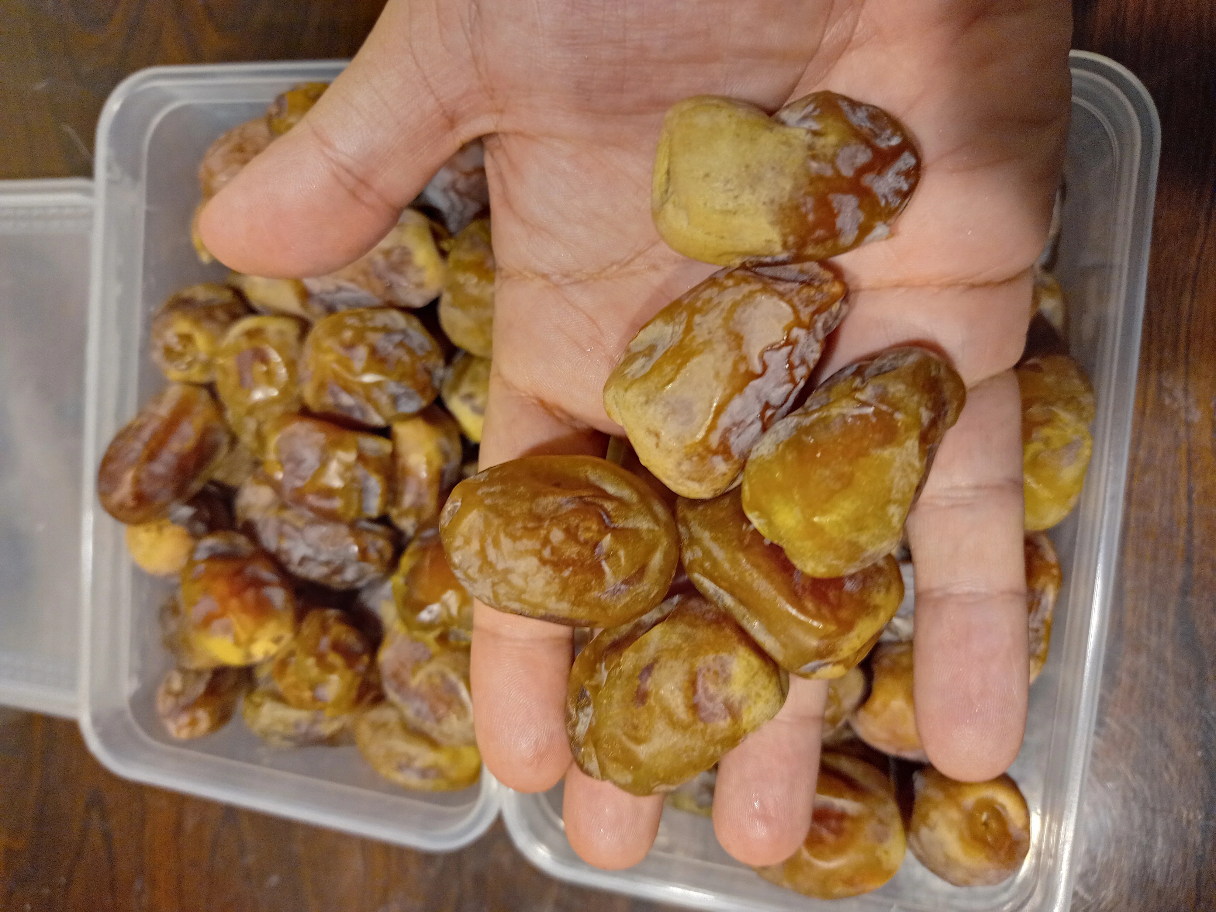 Sheshi Dates very cheap dates new harvest  2022 best quality ready for loading and shipping available customized packing