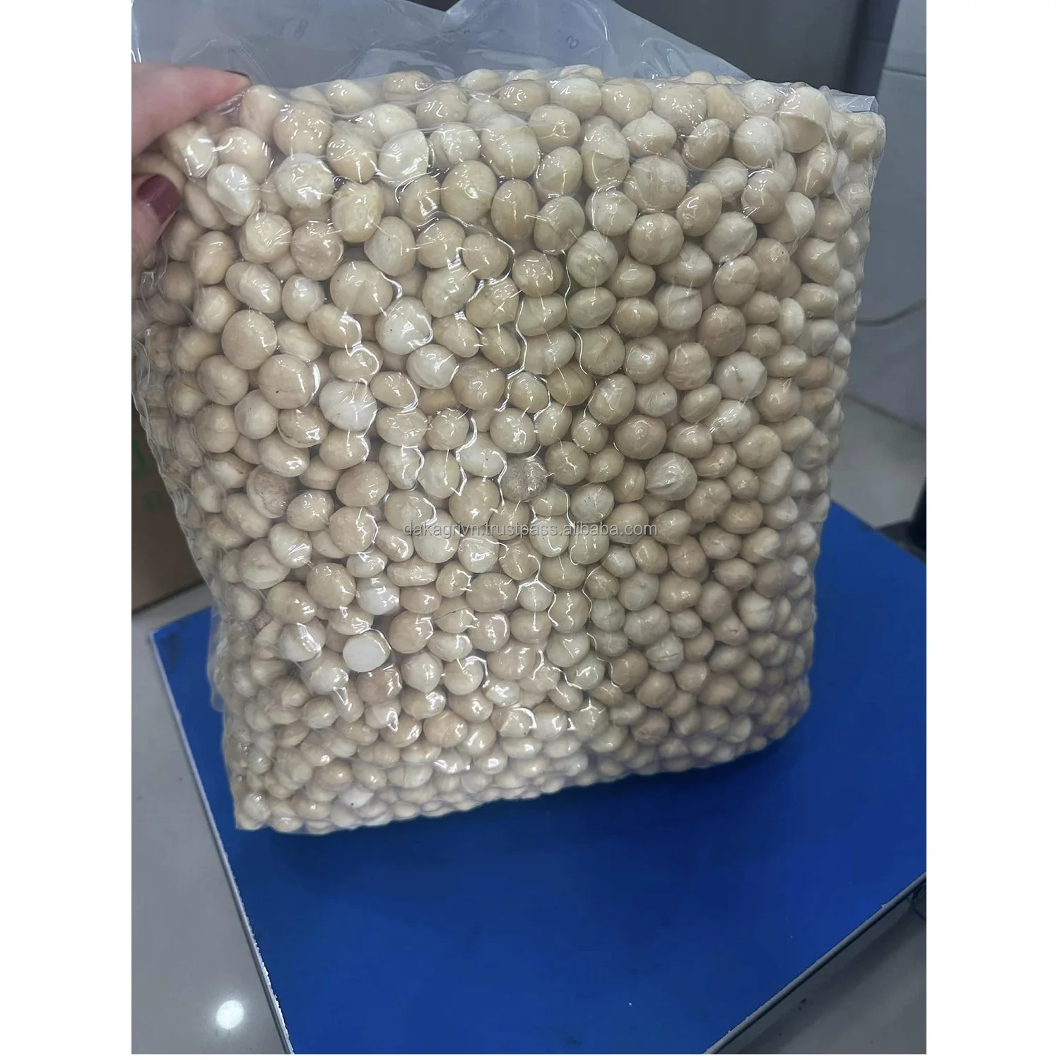 Высокое качество новый продукт класс OEM сушеные вьетнамские Сушеные Орехи макадамия магазин в сухом месте