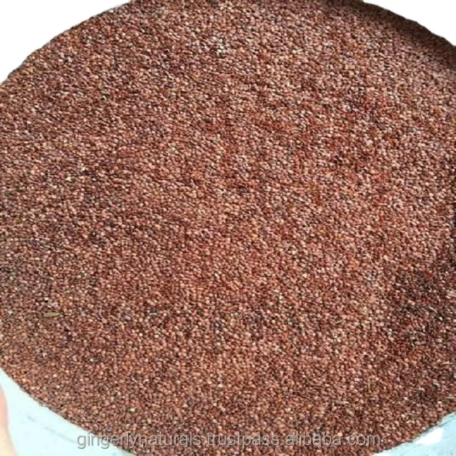 Best Price Mimosa Pudica Fruits Powder From India