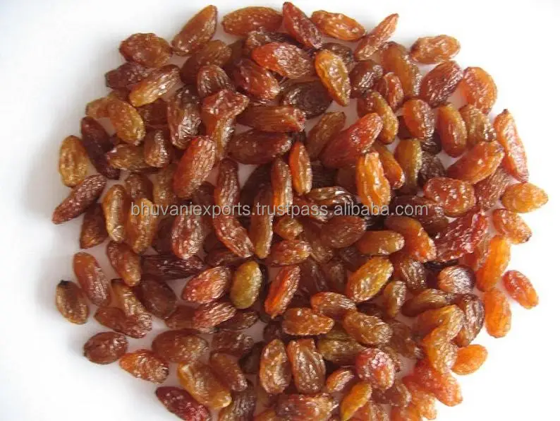 Sultana Raisin 3.jpg