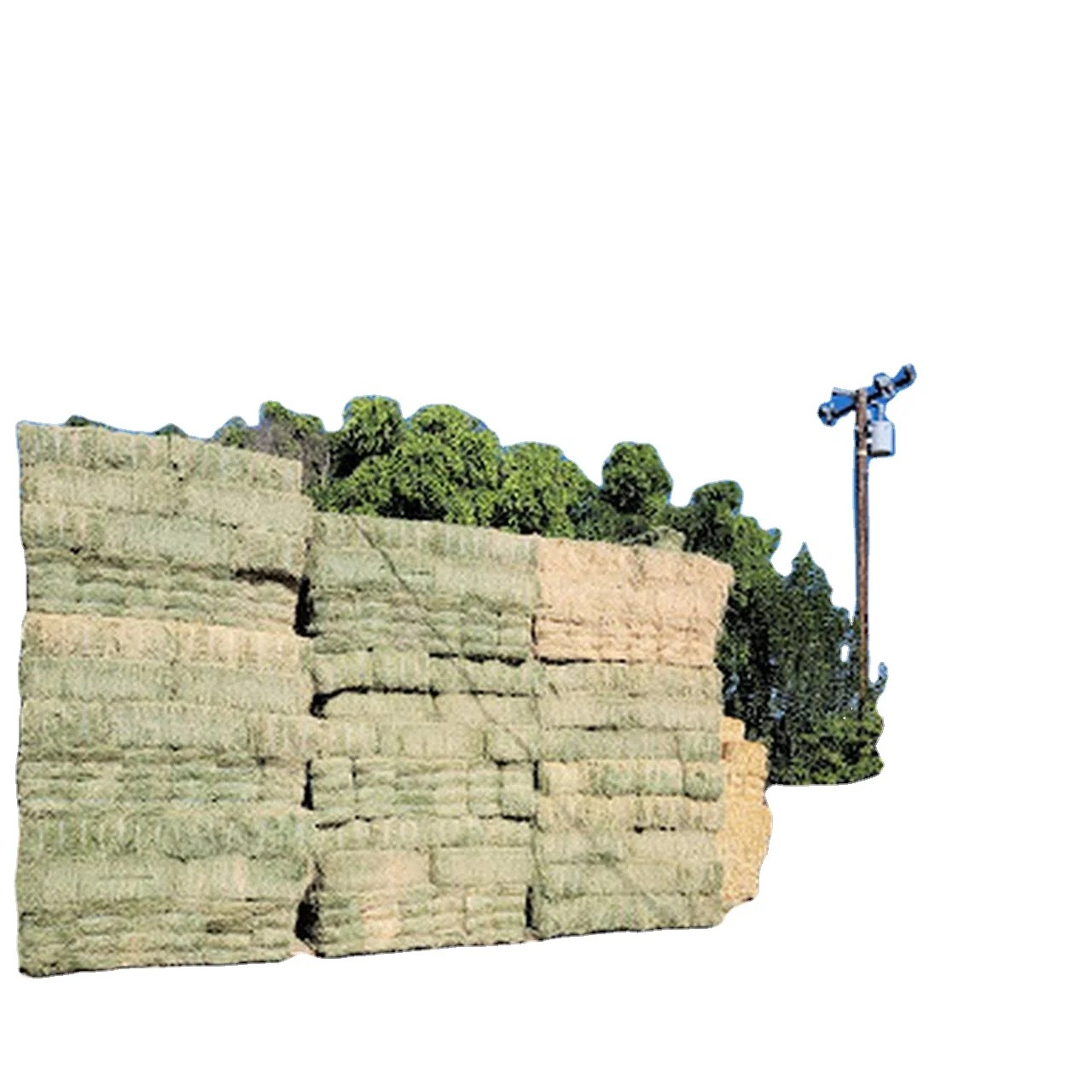 Export grade Alfalfa hay for cattle feed Best market price Alfalfa hay for sale in bulk for wholesale