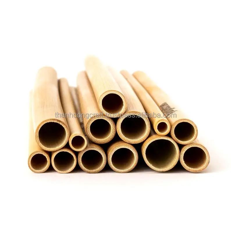 THANHCONG Wholesale Protect Environment With New Products of Bamboo Straw Biodegradable Straws
