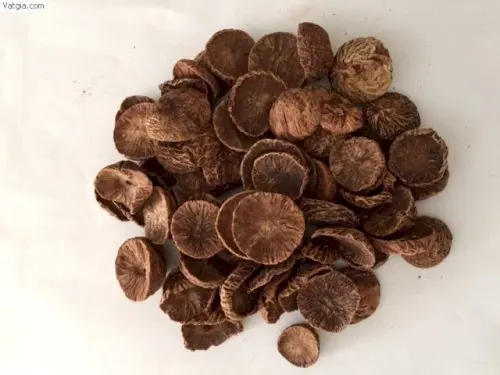 Hot Sale Betel Nut Dried Betel Nut From Vietnam Ready To Ship Best Price For Wholesale