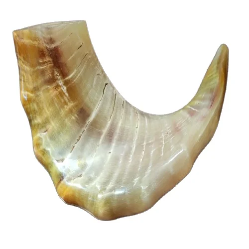Редкий очень большой легкий натуральный гудок Shofar по подходящей