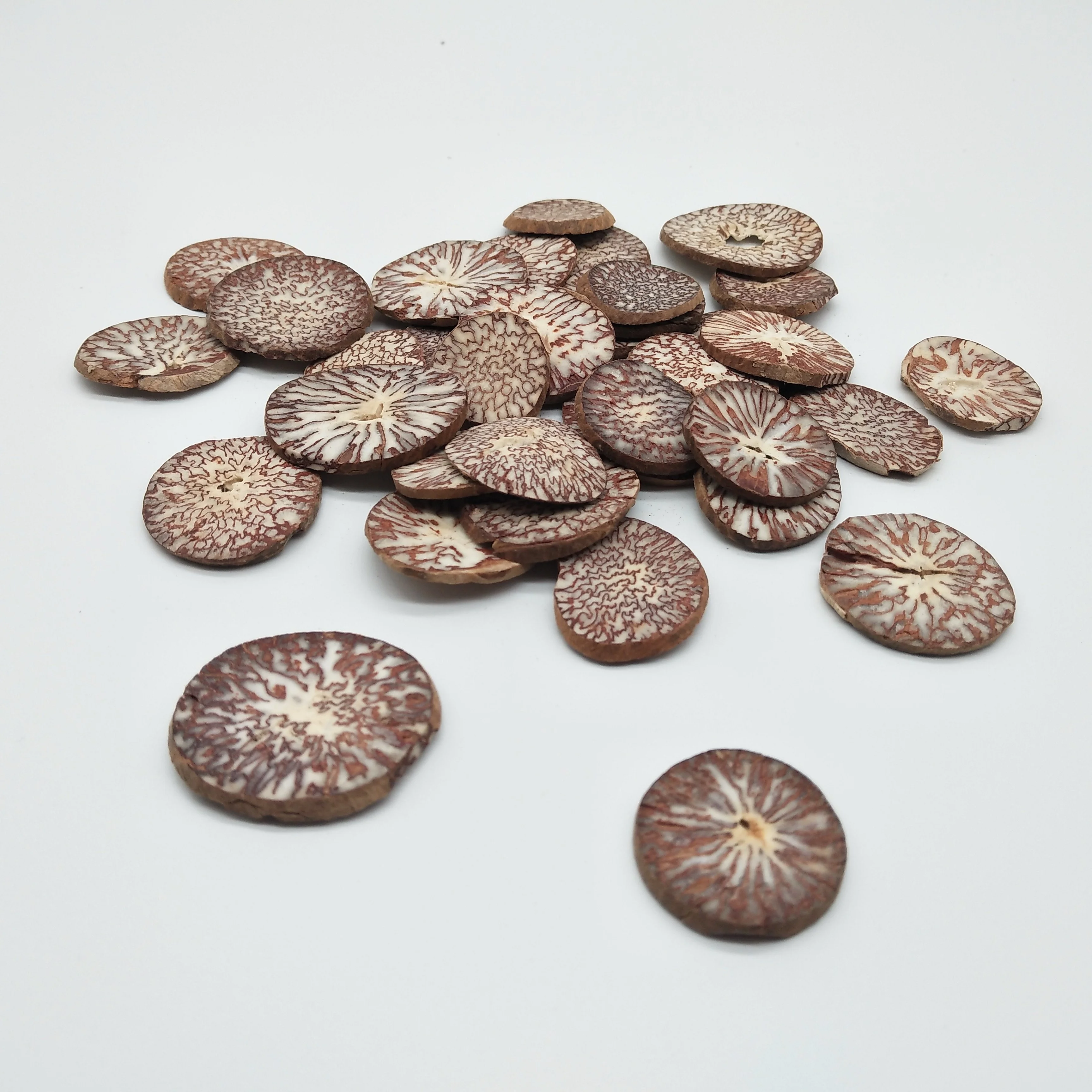 Dried Betel Nut / Areca Nuts Best Price.