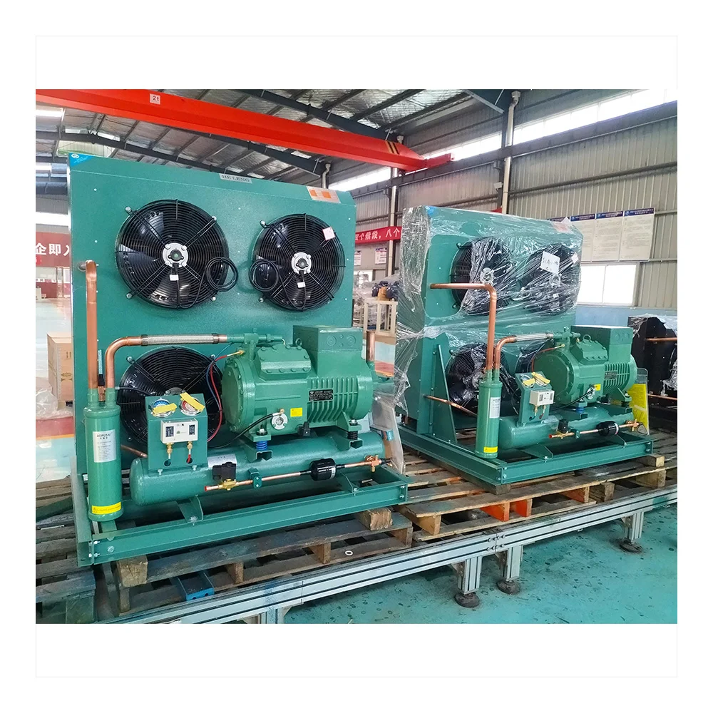 20HP 25HP 30HP Two storage Semi enclosed piston compressor refrigeration unit for blast freezer room