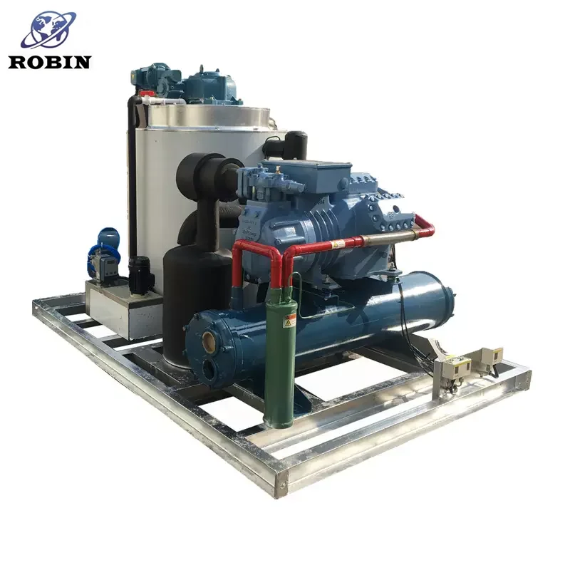 Factory Price 5 Ton Water Cooling Flake Ice Machine from China for Fish Markets