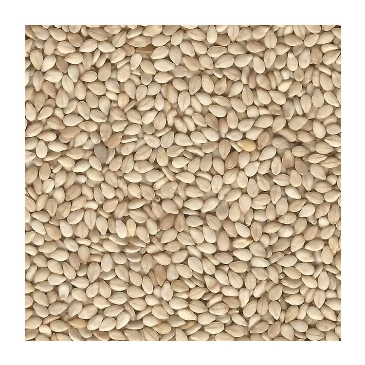 Wholesale Supplier of White Sesame for Global Buyers
