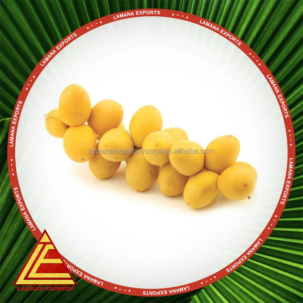
Indian Premium Quality Exotic Barhe Dates / Yellow Palm Dates / Date Fruit 