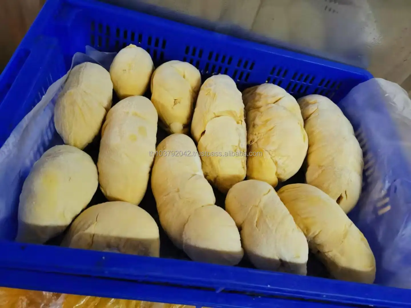 100% Fresh Durian Hygenic Frozen Durian Premier