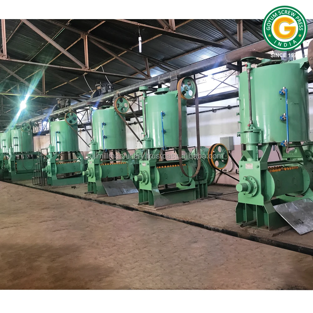 15 Tonnes Per Day Oil Expeller Mustard Coconut Ground Nut Sesame Canola Caster