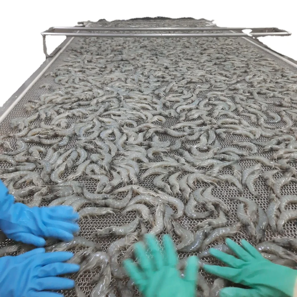 White leg shrimp PD deveined with good price