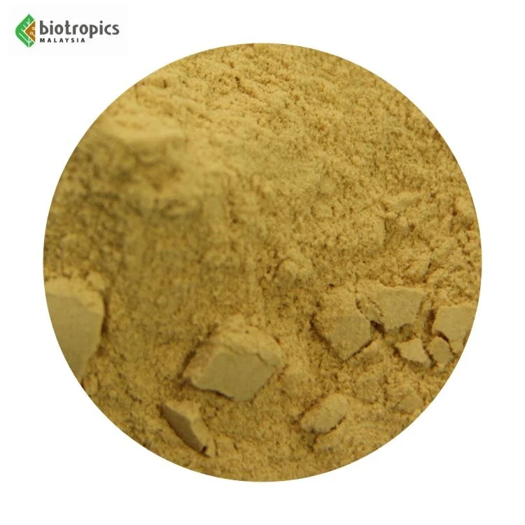 Clinically-Researched Malaysia Tongkat Ali Extract Physta Ingredient Ready for Formulation in Men Supplements