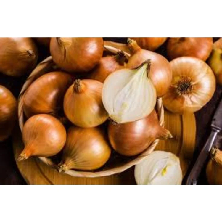 Bombay Golden OnionBest Price for Quality Fresh  for Fresh Vegetables Golden Onion Onion Bombay Golden OnionExporters from india