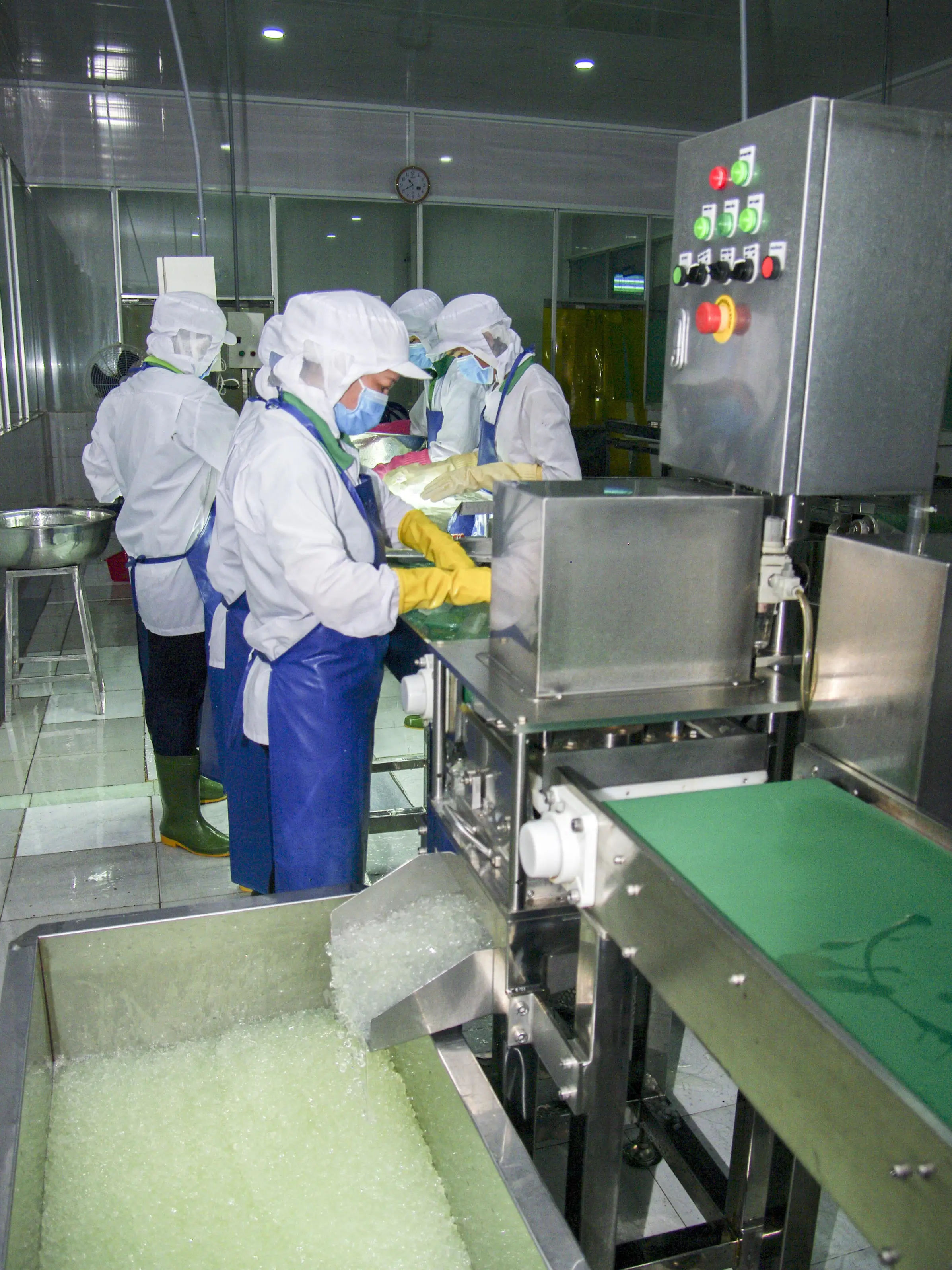 PREMIUM-GRADE CANNED ALOE VERA / PERFECTLY PRESERVED FRESHNESS / COST-EFFECTIVE BULK DEALS / MADE in VIETNAM