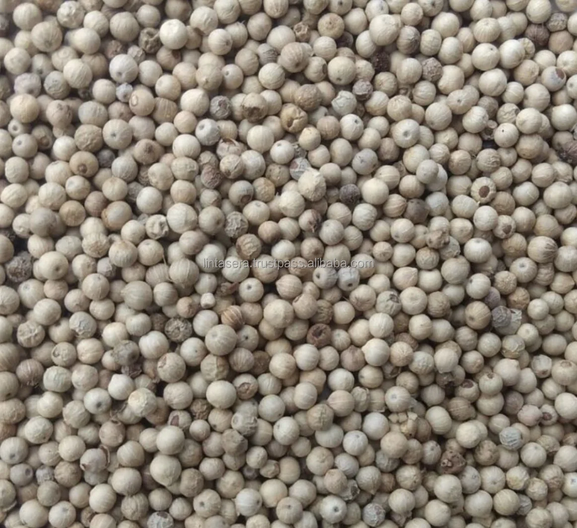 Best  Selling High  Quality  Whole  550 and 570 GL MC Cleaned White Pepper