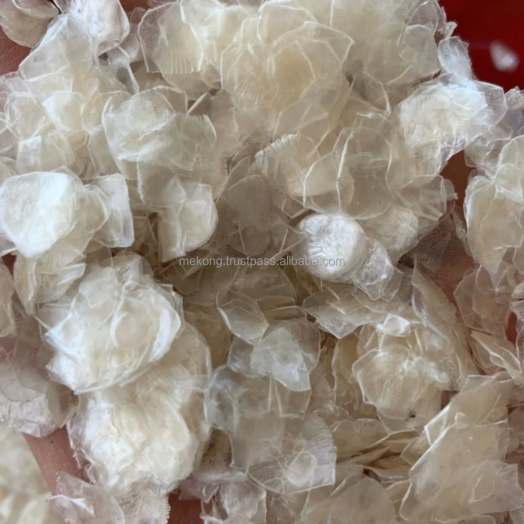 Wholesale Hot Deal Stock Available Fish Scale Ossein For Chitosan Ready To Ship