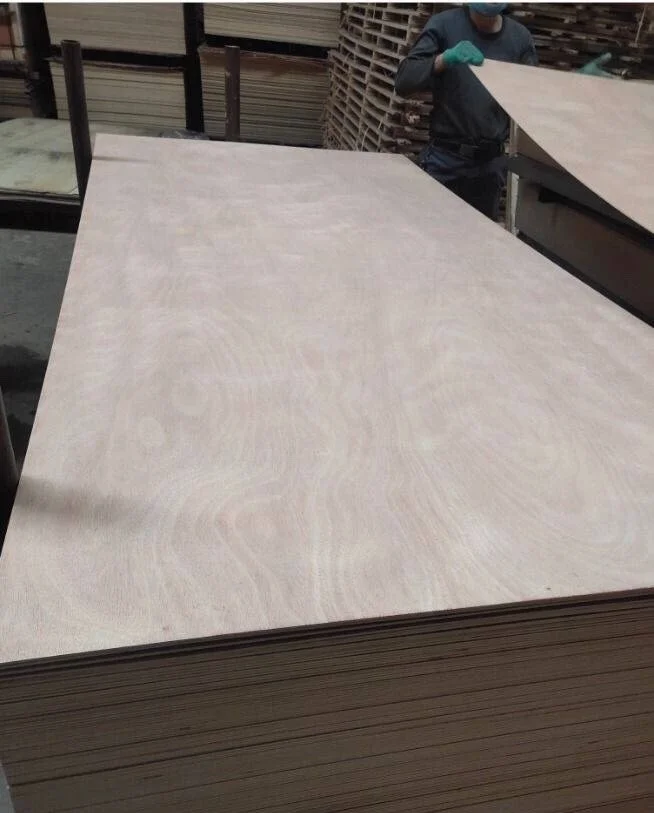 Best price and quality 1220x2440 3/4' hard wood core okume/bintangor/poplar/birch plywood whole sale from Vietnam