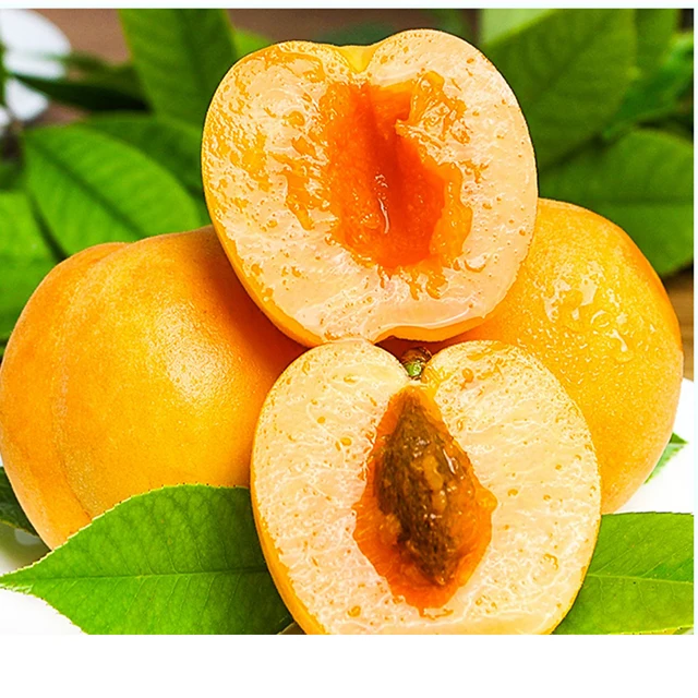 Wholesale Line Price Best Brands Fruit Slices Canned Halves Yellow Peach Preserved Fruit with 3 Years Shelf Life
