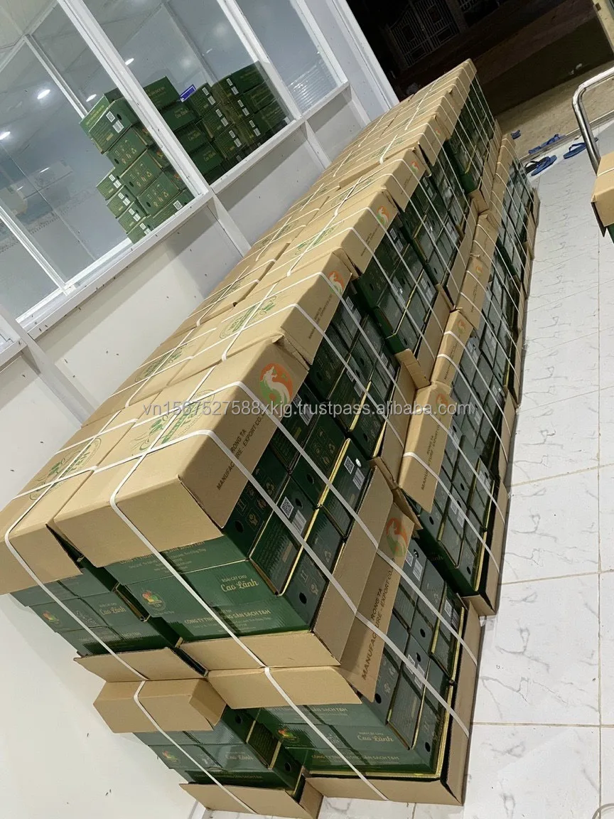 [Hot] Best sale Cat chu mangoes fresh fruit natural high quality exported from in Vietnam