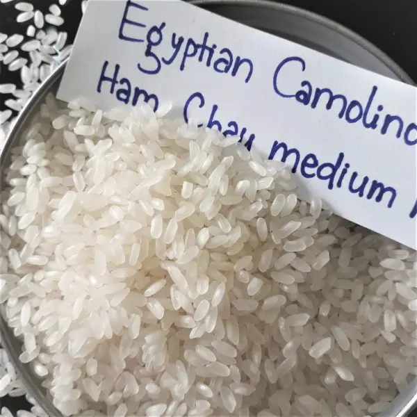 BEST SELLING CAMOLINO MEDIUM-GRAIN RICE FROM VIETNAMESE SUPPLIER- ANNA DO W/A+84982153058
