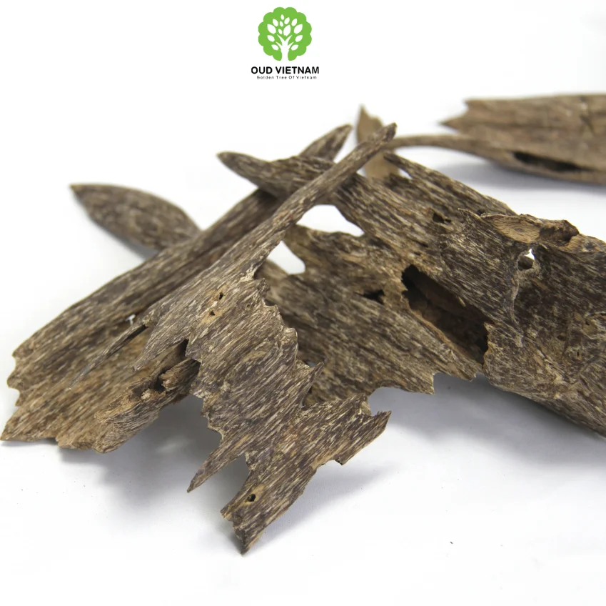 The Best Quality of Natural Premium Agar wood Chips Super Grade Precious Quality Ant Oudh Incense Fragrance Sweet Full Of Oil