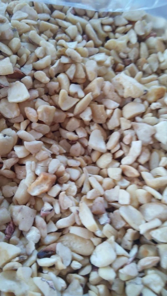 FRESH CASHEW NUTS/ CASHEW NUTS W320 W240 EXPORT CASHEW NUTS  FROM VIETNAM/ Ms Jolie (Whatsapp : +84902679738)