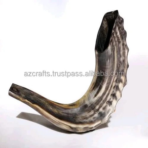  Оптовая продажа полированный Рог SHOFAR / KUDU KOSHER