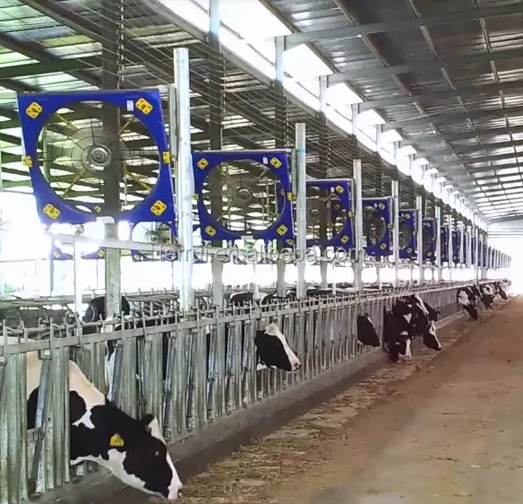 Livestock Fans Dairy Cow Poultry Ventilation Farm Fans