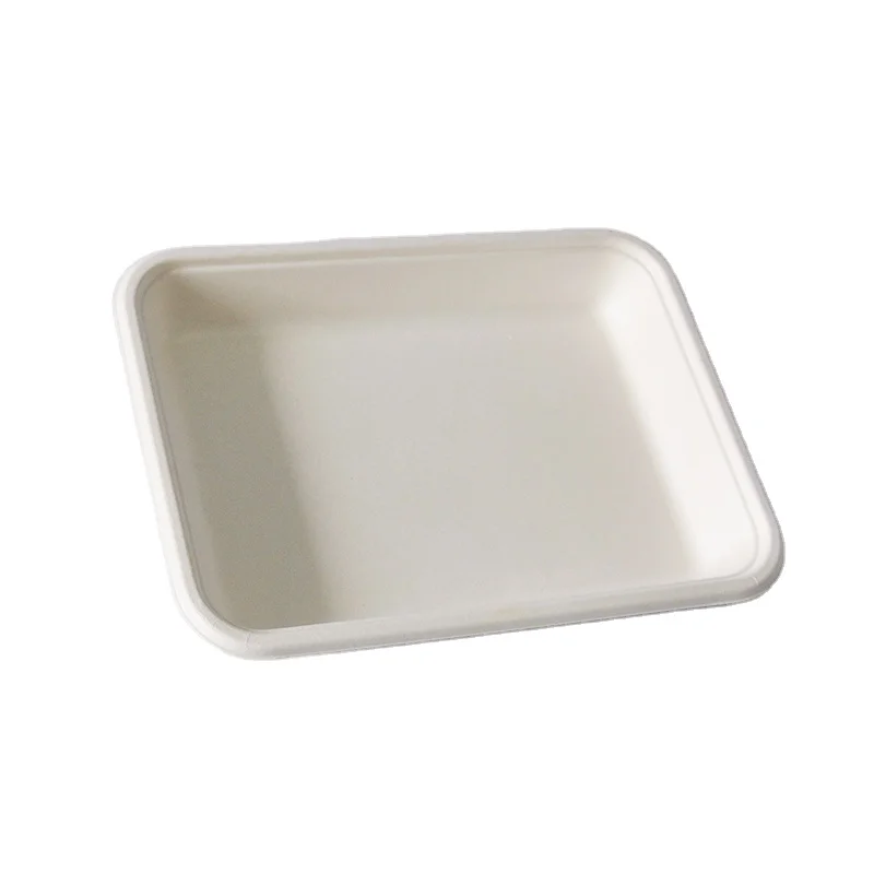 1 compartment Sugarcane Bagasse Tray Disposable plate T023