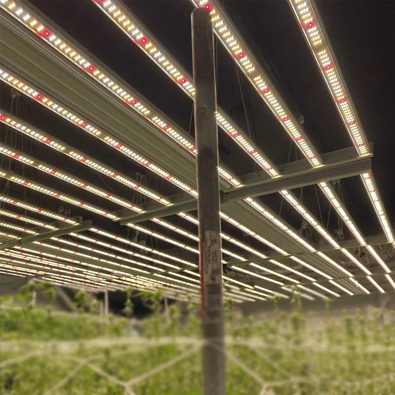 USA Free Shipping Free Tariffs Hot Selling Sunritek 660W 2.8umol/J MG8 lm301b Replacing LED Grow Lights 1000W HPS Replacement