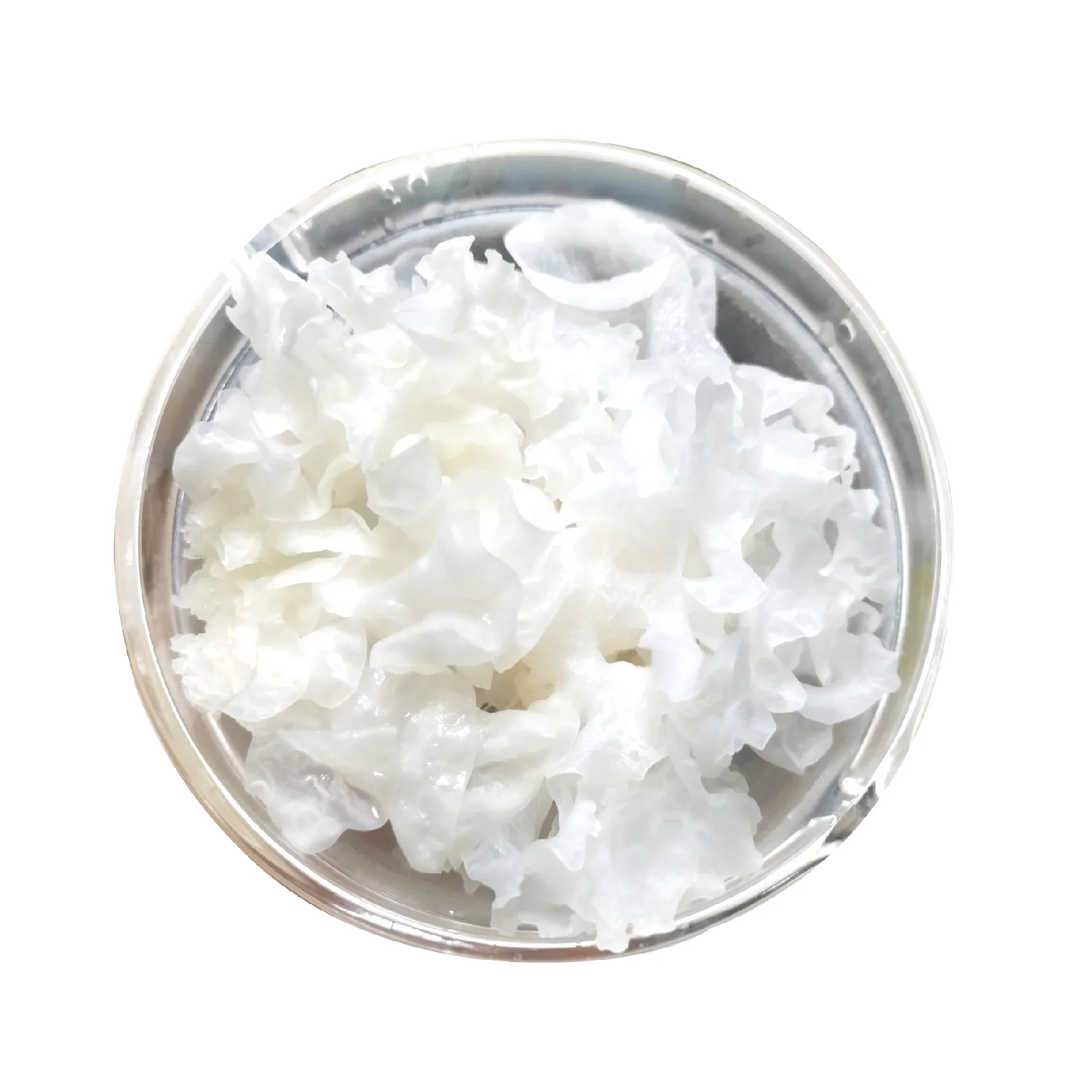 Skin care fresh polysaccharide organic snow fungus