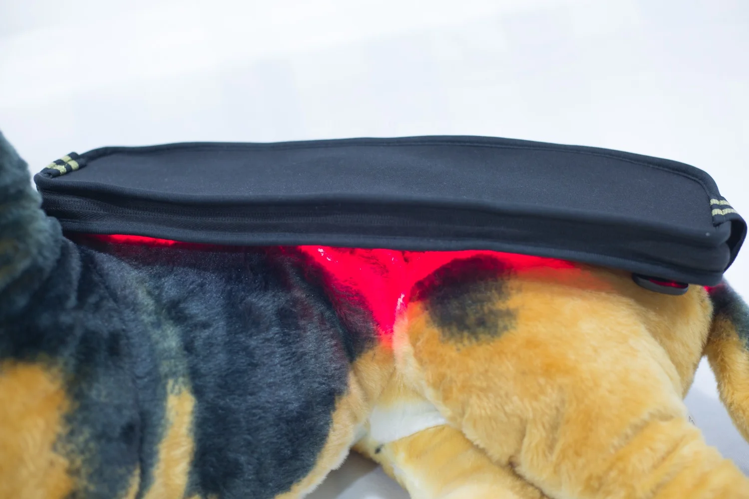 Pain Treatment Physical Laser Therapy Machine Equine Laser Veterinary  Diode Laser