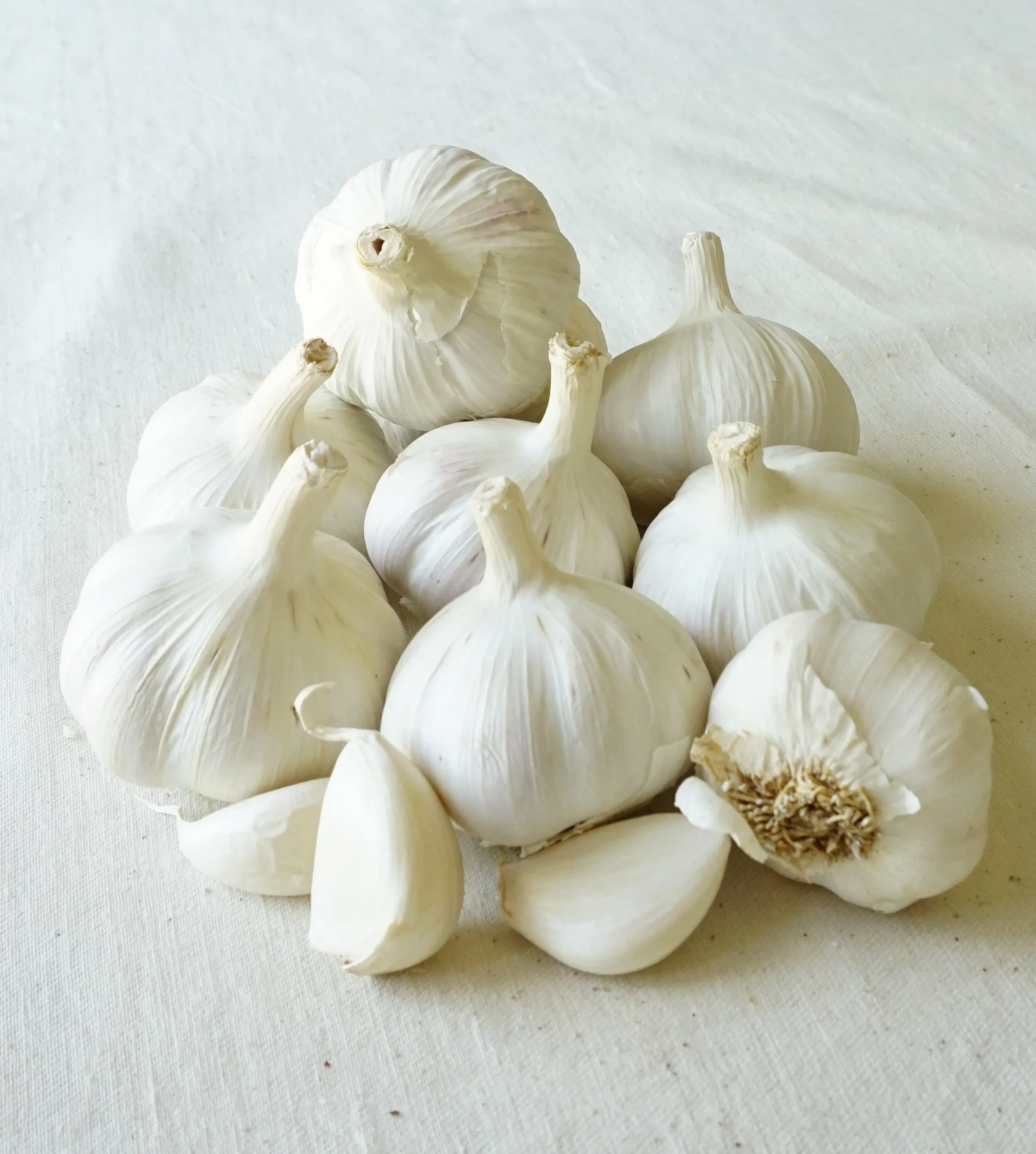 high quality made in italy  GARLIC PUREE 10 kg in bag GIA for export