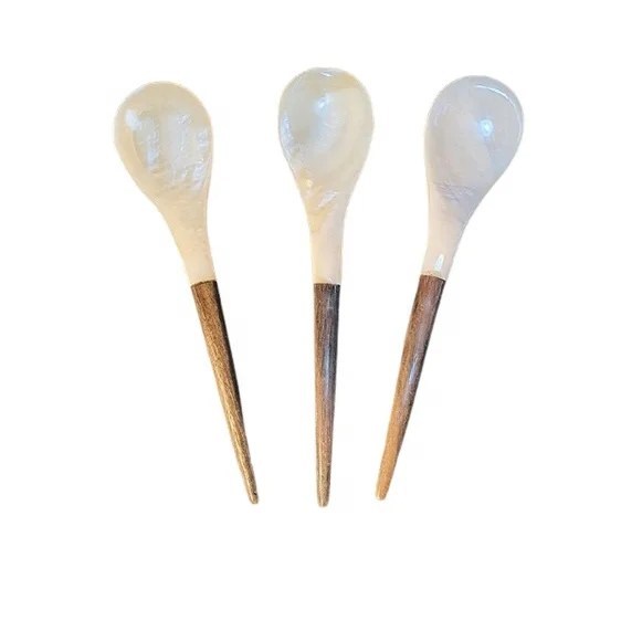 New Style Sustainable Elegant White Mother of Pearl Spoon Natural Shell Spoons with black wooden handle 12cm from Vietcrafts