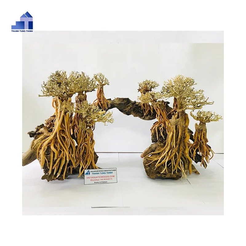  Аквариумные деревья бонсай для аквариума ландшафтный Whatsapp + 84 963949178